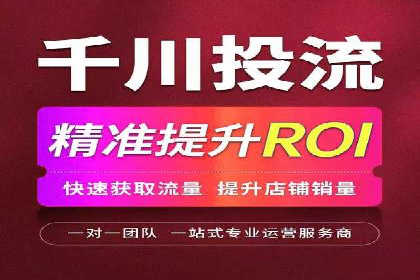 电商平台信息流广告的投放策略与效果评估案例